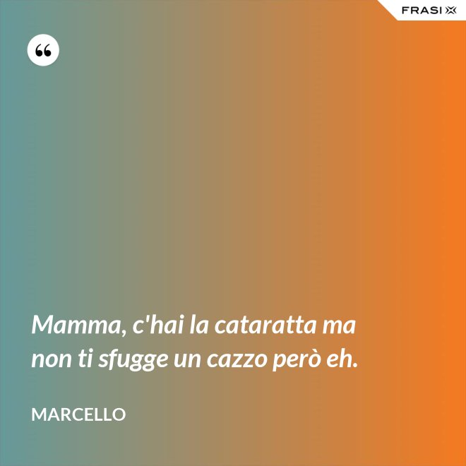 Mamma, c'hai la cataratta ma non ti sfugge un cazzo però eh. - Marcello