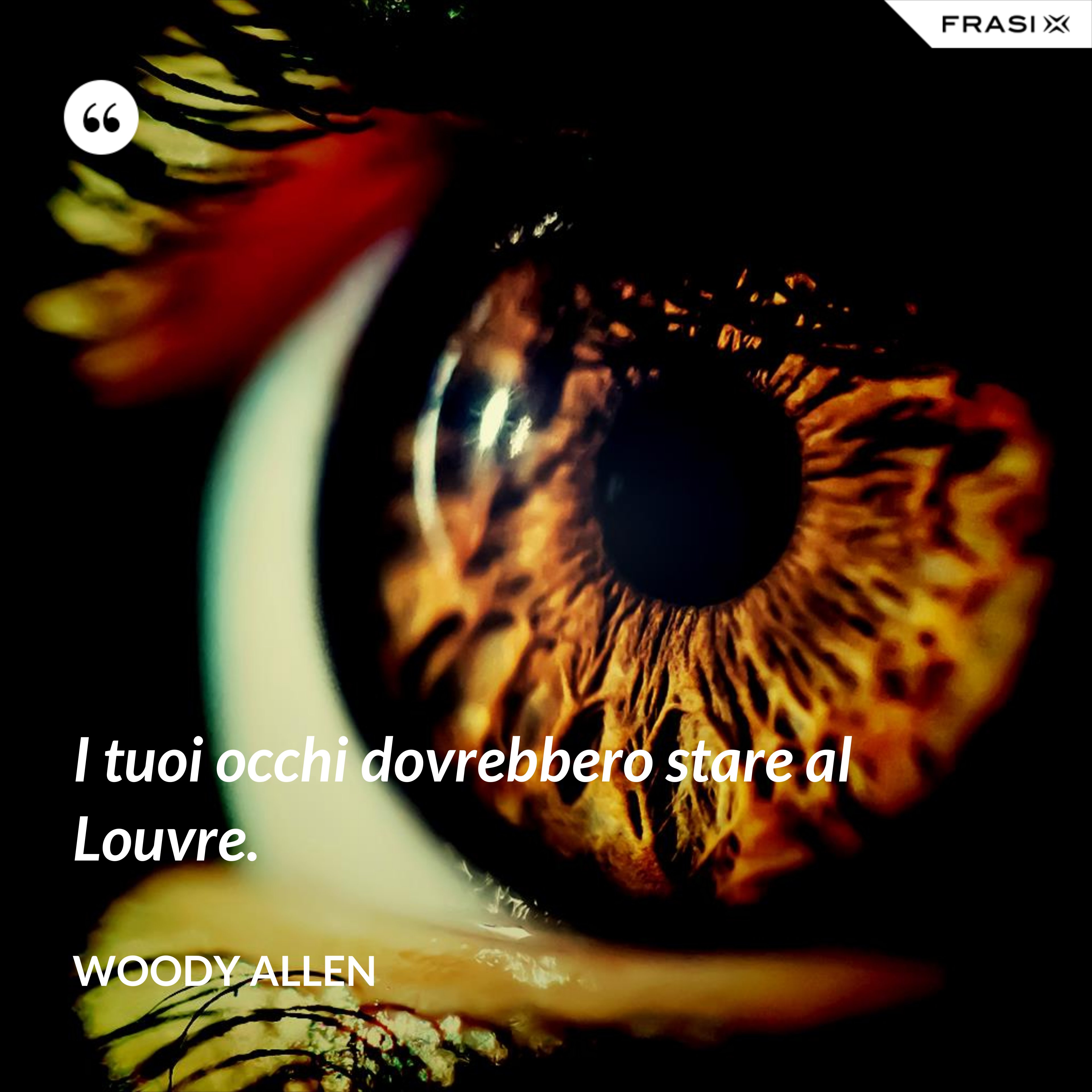 I tuoi occhi dovrebbero stare al Louvre. - Woody Allen