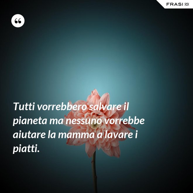 Tutti vorrebbero salvare il pianeta ma nessuno vorrebbe aiutare la mamma a lavare i piatti. - Anonimo