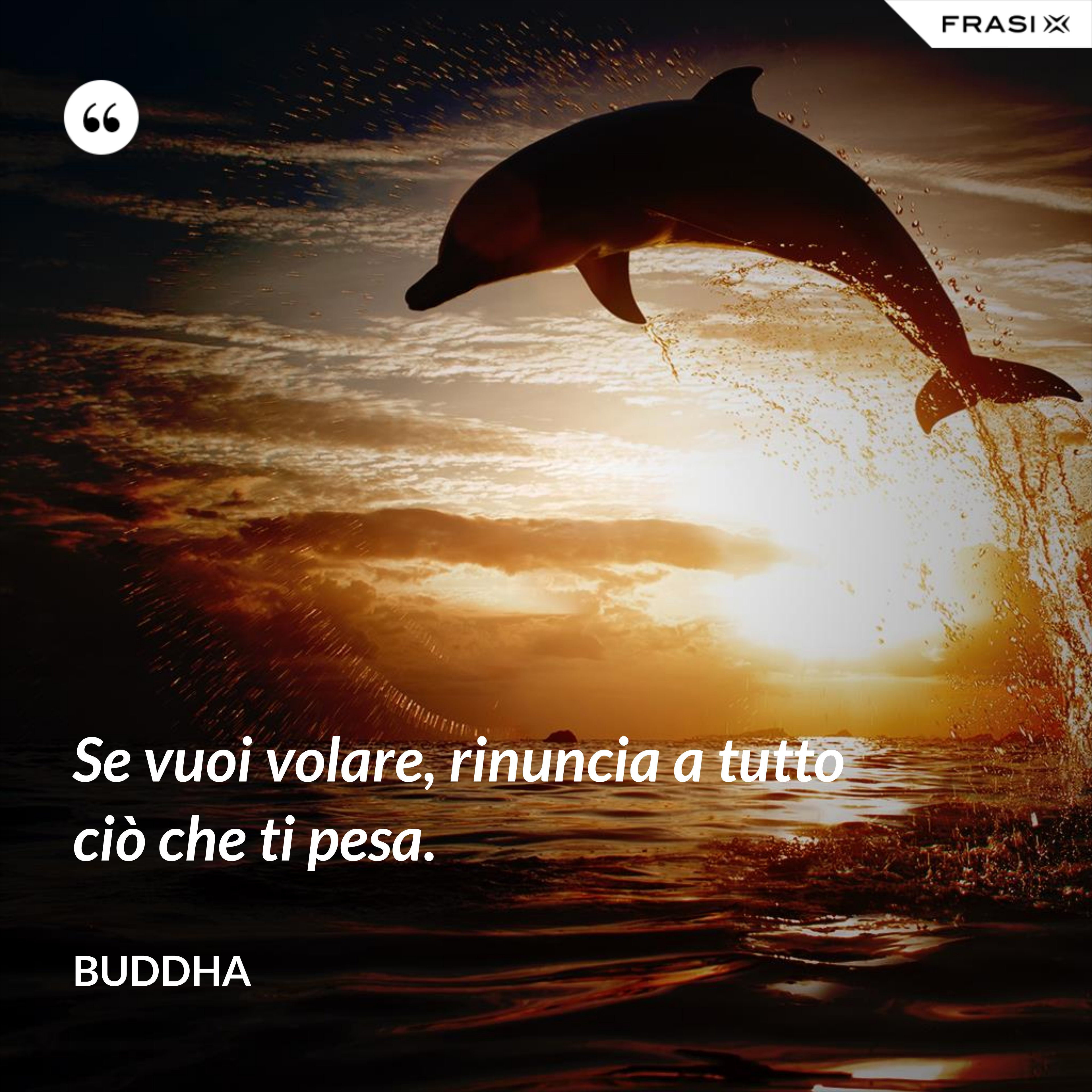 Se vuoi volare, rinuncia a tutto ciò che ti pesa. - Buddha