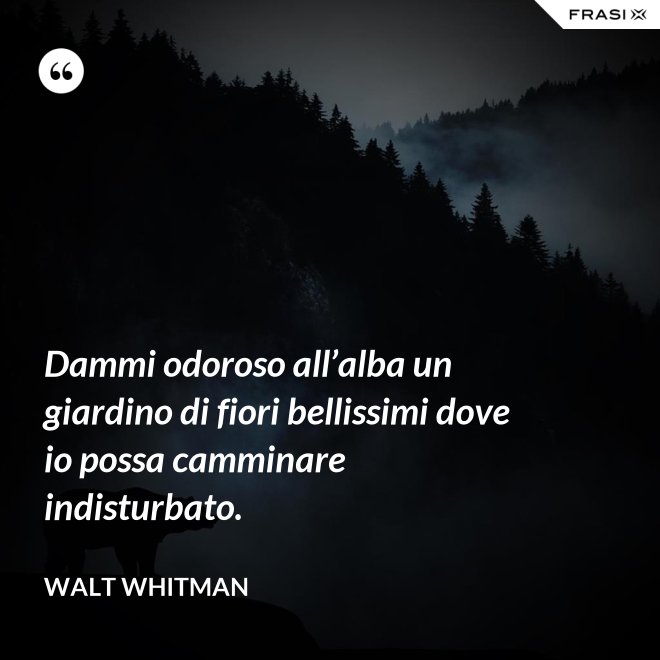 Dammi odoroso all’alba un giardino di fiori bellissimi dove io possa camminare indisturbato. - Walt Whitman