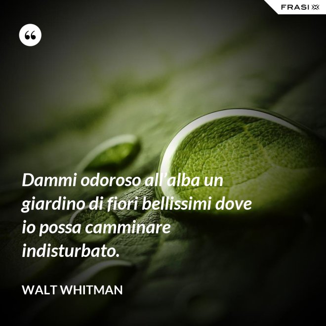Dammi odoroso all’alba un giardino di fiori bellissimi dove io possa camminare indisturbato. - Walt Whitman