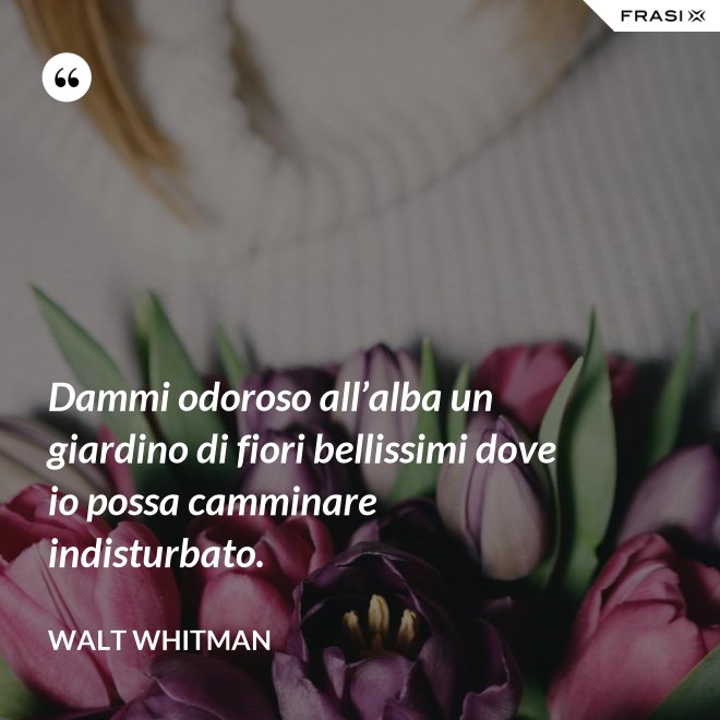 Dammi odoroso all’alba un giardino di fiori bellissimi dove io possa camminare indisturbato. - Walt Whitman