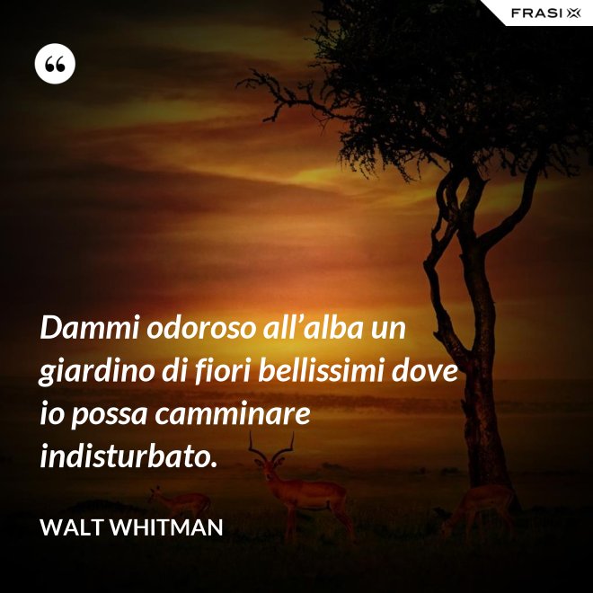 Dammi odoroso all’alba un giardino di fiori bellissimi dove io possa camminare indisturbato. - Walt Whitman