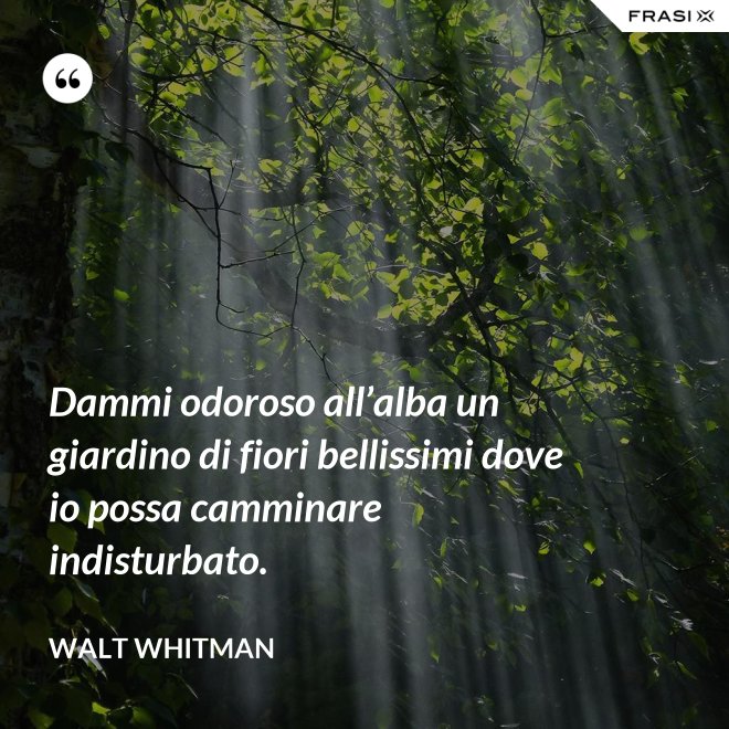 Dammi odoroso all’alba un giardino di fiori bellissimi dove io possa camminare indisturbato. - Walt Whitman