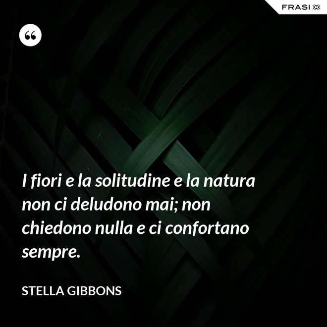 I fiori e la solitudine e la natura non ci deludono mai; non chiedono nulla e ci confortano sempre. - Stella Gibbons