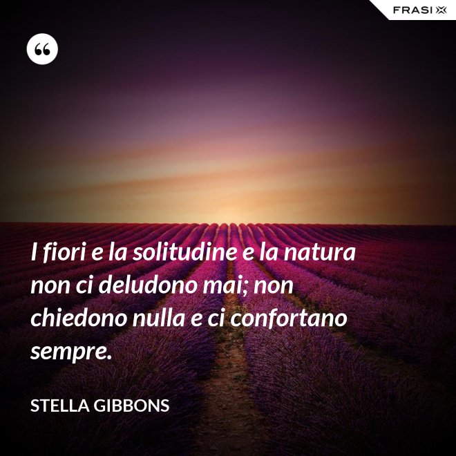 I fiori e la solitudine e la natura non ci deludono mai; non chiedono nulla e ci confortano sempre. - Stella Gibbons