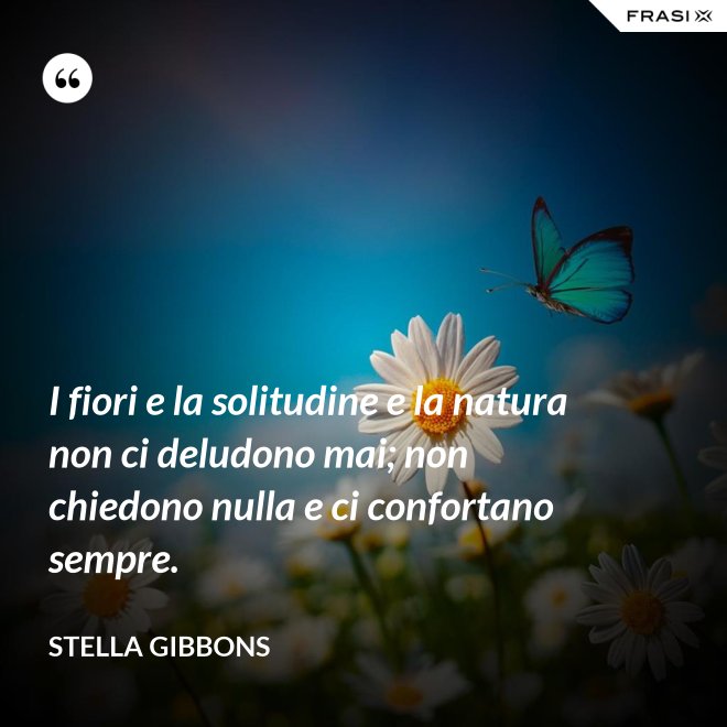 I fiori e la solitudine e la natura non ci deludono mai; non chiedono nulla e ci confortano sempre. - Stella Gibbons