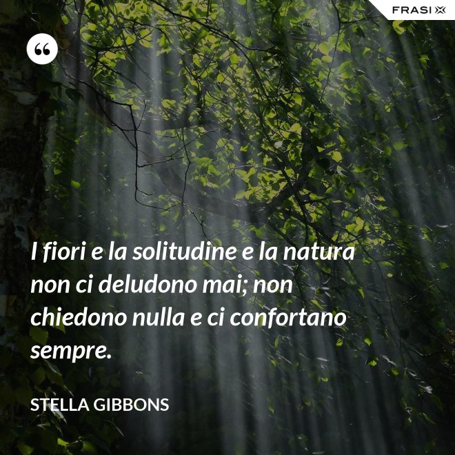 I fiori e la solitudine e la natura non ci deludono mai; non chiedono nulla e ci confortano sempre. - Stella Gibbons