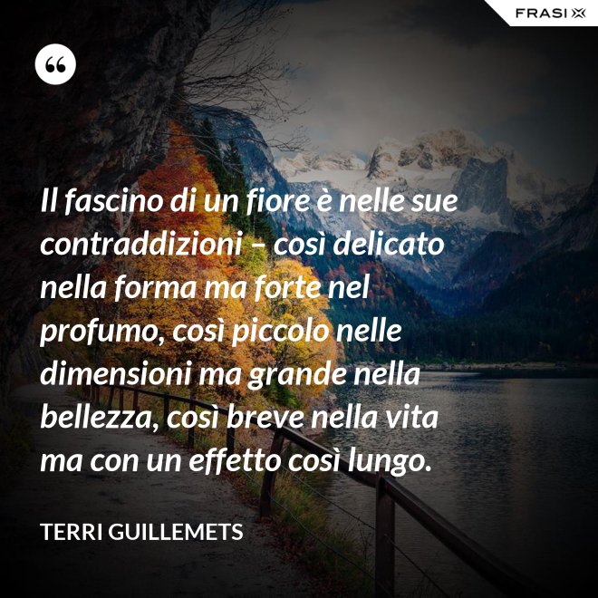 Il fascino di un fiore è nelle sue contraddizioni – così delicato nella forma ma forte nel profumo, così piccolo nelle dimensioni ma grande nella bellezza, così breve nella vita ma con un effetto così lungo. - Terri Guillemets