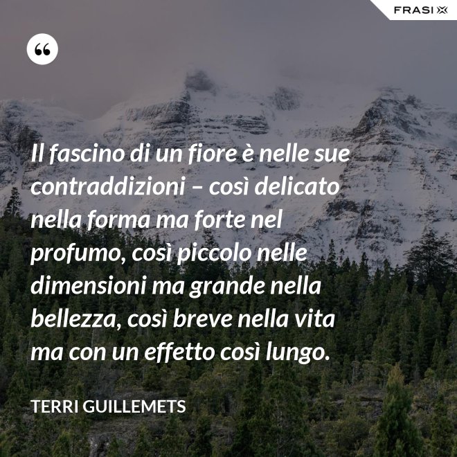 Il fascino di un fiore è nelle sue contraddizioni – così delicato nella forma ma forte nel profumo, così piccolo nelle dimensioni ma grande nella bellezza, così breve nella vita ma con un effetto così lungo. - Terri Guillemets