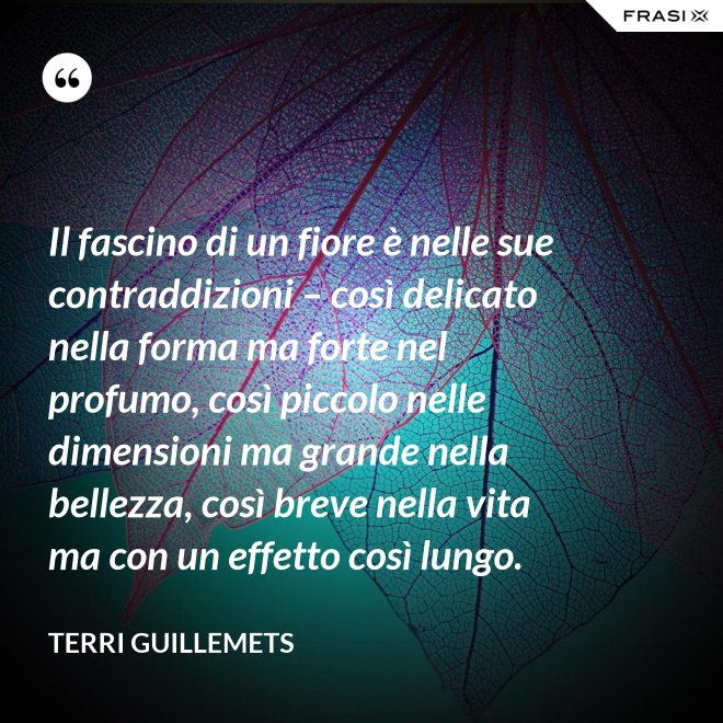 Il fascino di un fiore è nelle sue contraddizioni – così delicato nella forma ma forte nel profumo, così piccolo nelle dimensioni ma grande nella bellezza, così breve nella vita ma con un effetto così lungo. - Terri Guillemets
