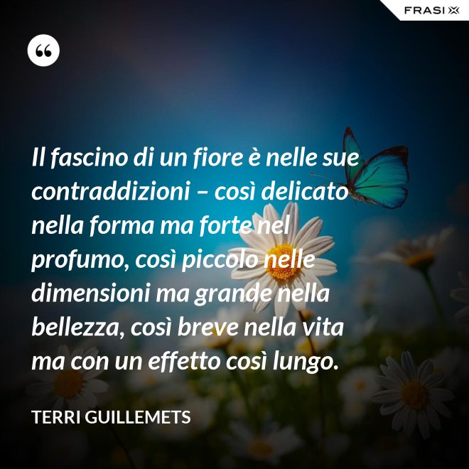 Il fascino di un fiore è nelle sue contraddizioni – così delicato nella forma ma forte nel profumo, così piccolo nelle dimensioni ma grande nella bellezza, così breve nella vita ma con un effetto così lungo. - Terri Guillemets