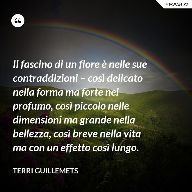 Il fascino di un fiore è nelle sue contraddizioni – così delicato nella forma ma forte nel profumo, così piccolo nelle dimensioni ma grande nella bellezza, così breve nella vita ma con un effetto così lungo. - Terri Guillemets
