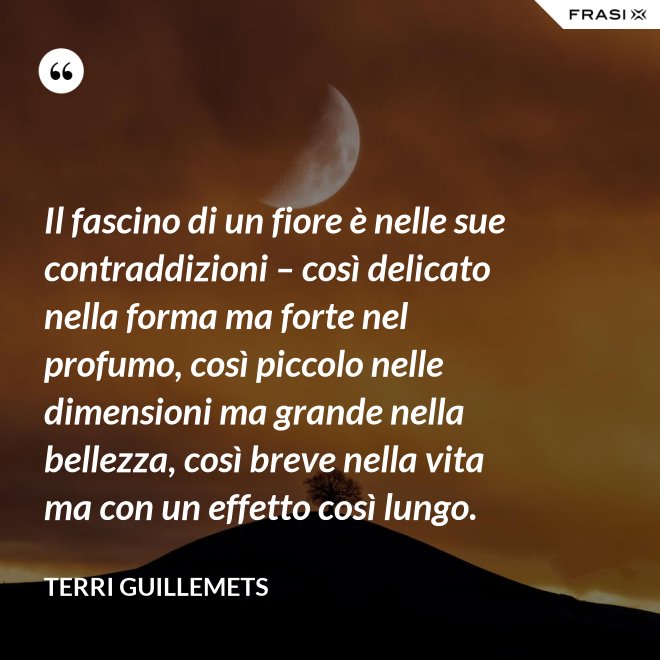 Il fascino di un fiore è nelle sue contraddizioni – così delicato nella forma ma forte nel profumo, così piccolo nelle dimensioni ma grande nella bellezza, così breve nella vita ma con un effetto così lungo. - Terri Guillemets