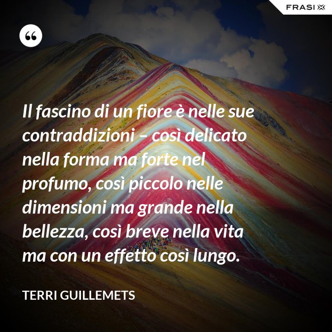 Il fascino di un fiore è nelle sue contraddizioni – così delicato nella forma ma forte nel profumo, così piccolo nelle dimensioni ma grande nella bellezza, così breve nella vita ma con un effetto così lungo. - Terri Guillemets