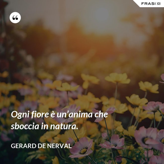 Ogni fiore è un’anima che sboccia in natura. - Gerard De Nerval