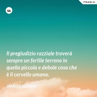 Il pregiudizio razziale troverà sempre un fertile terreno in quella piccola e debole cosa che è il cervello umano. - James Baldwin