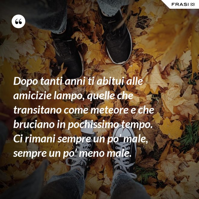 Dopo tanti anni ti abitui alle amicizie lampo, quelle che transitano come meteore e che bruciano in pochissimo tempo. Ci rimani sempre un po’ male, sempre un po’ meno male. - Anonimo