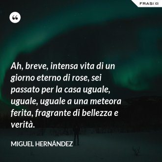 Ah, breve, intensa vita di un giorno eterno di rose, sei passato per la casa uguale, uguale, uguale a una meteora ferita, fragrante di bellezza e verità. - Miguel Hernández