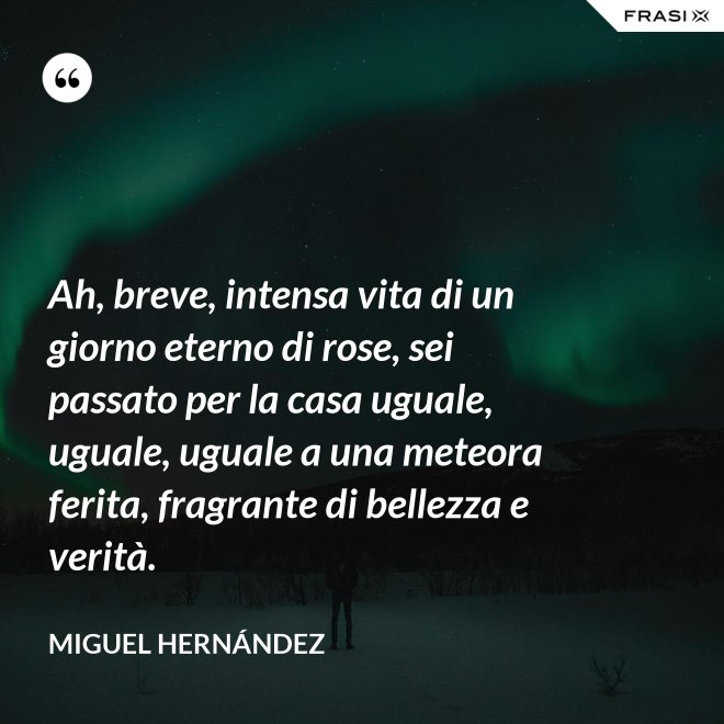 Ah, breve, intensa vita di un giorno eterno di rose, sei passato per la casa uguale, uguale, uguale a una meteora ferita, fragrante di bellezza e verità. - Miguel Hernández