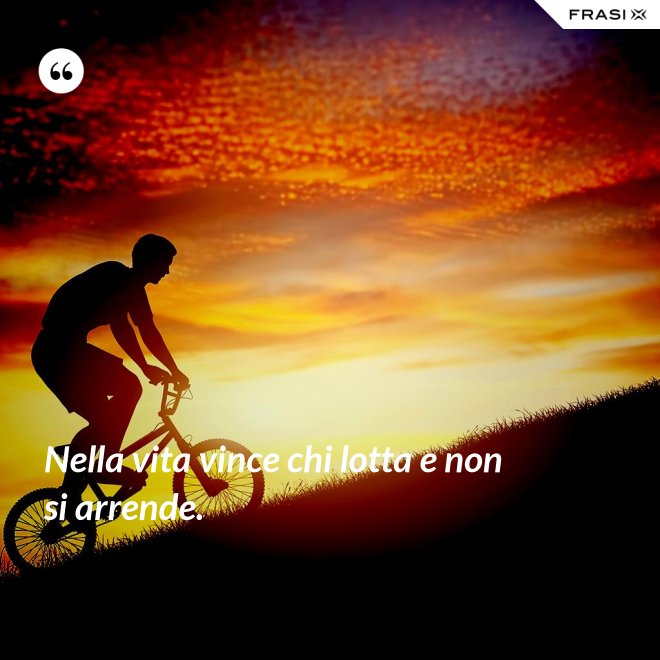 Nella vita vince chi lotta e non si arrende. - Anonimo