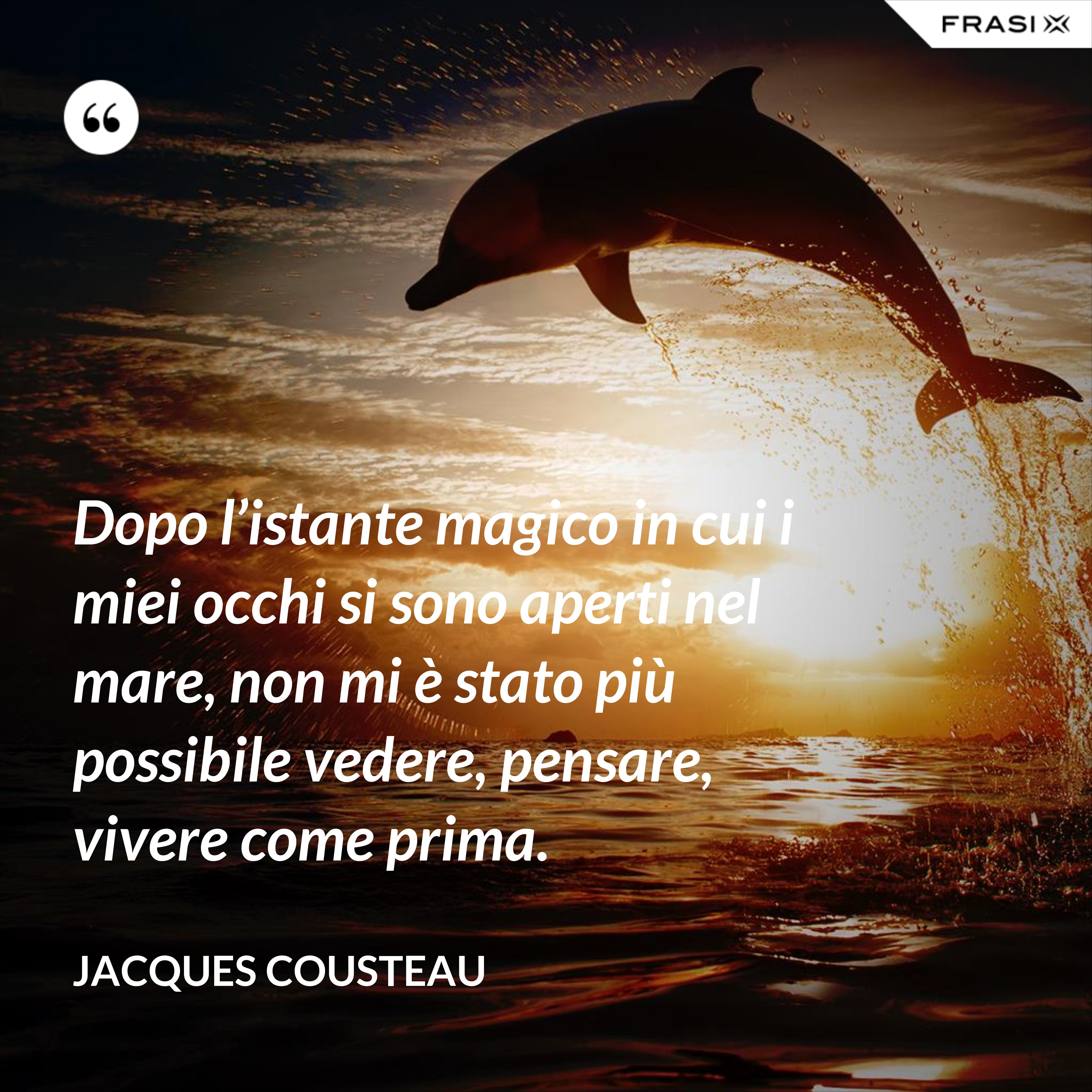Dopo l’istante magico in cui i miei occhi si sono aperti nel mare, non mi è stato più possibile vedere, pensare, vivere come prima. - Jacques Cousteau