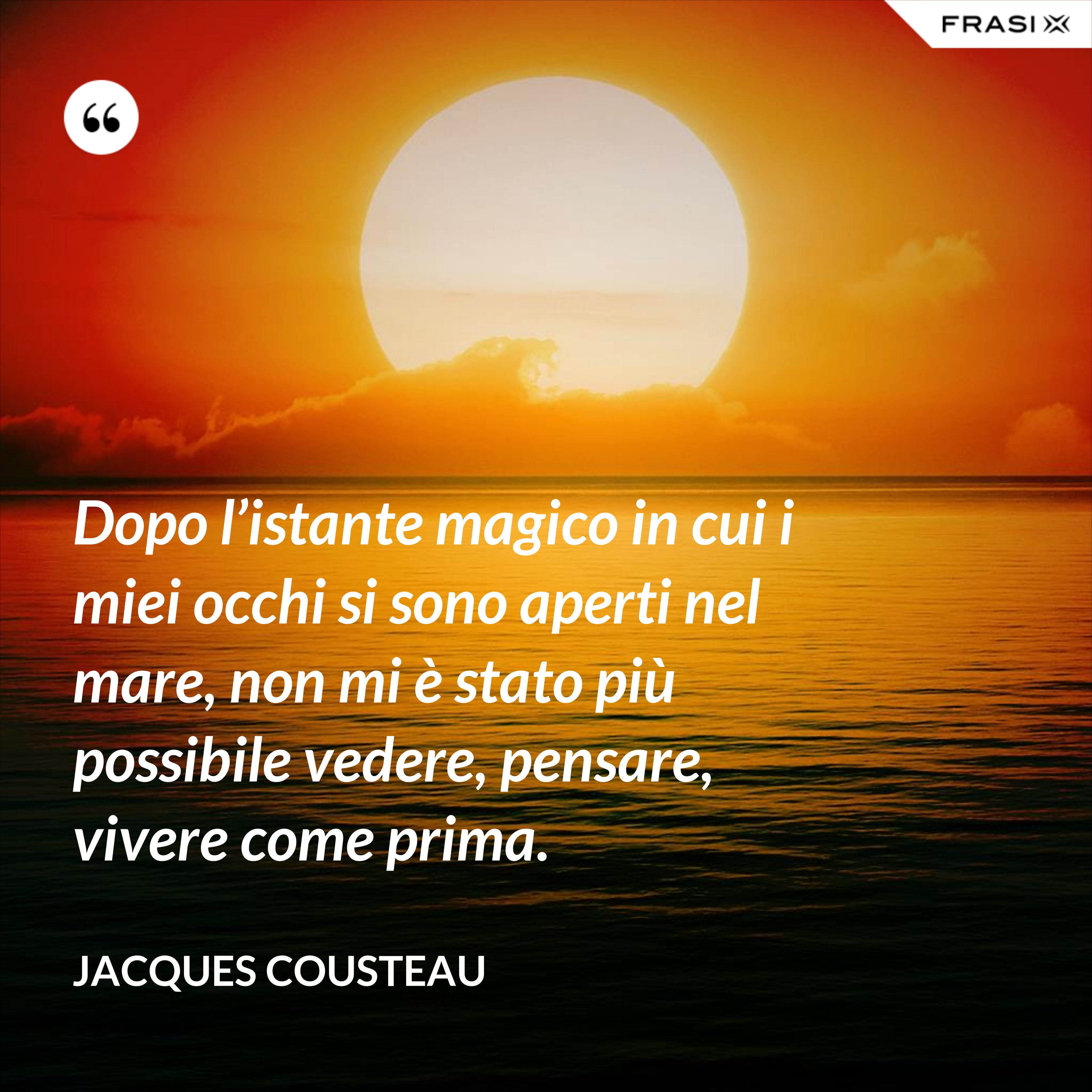 Dopo l’istante magico in cui i miei occhi si sono aperti nel mare, non mi è stato più possibile vedere, pensare, vivere come prima. - Jacques Cousteau
