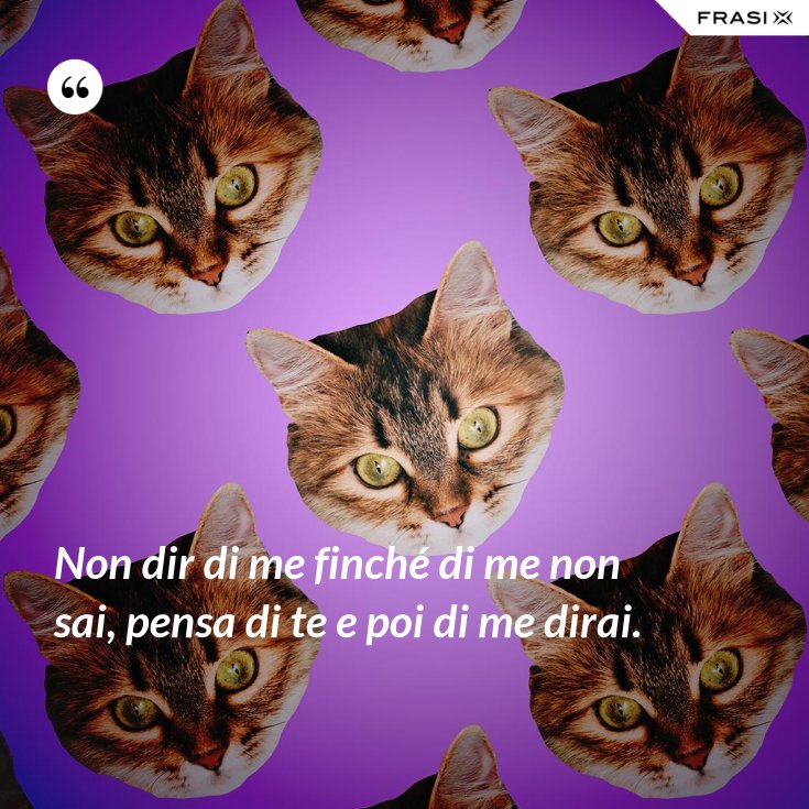 Non Dir Di Me Se Di Me Non Sai
