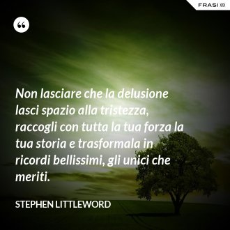 Non lasciare che la delusione lasci spazio alla tristezza, raccogli con tutta la tua forza la tua storia e trasformala in ricordi bellissimi, gli unici che meriti. - Stephen Littleword