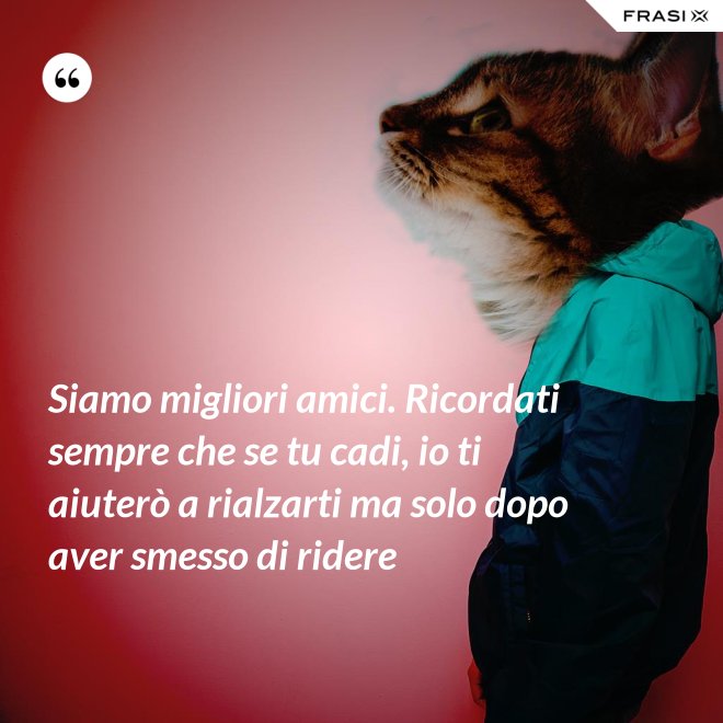 Siamo migliori amici. Ricordati sempre che se tu cadi, io ti aiuterò a rialzarti ma solo dopo aver smesso di ridere - Anonimo
