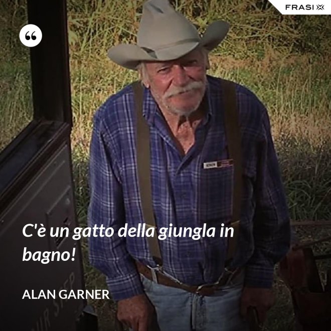 C'è un gatto della giungla in bagno! - Alan Garner