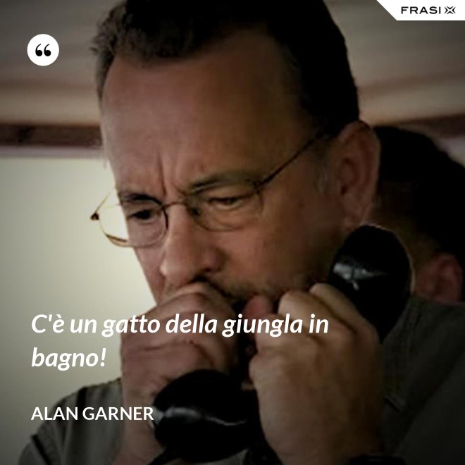 C'è un gatto della giungla in bagno! - Alan Garner