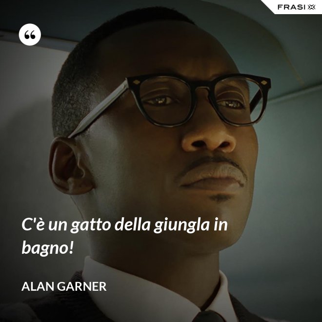 C'è un gatto della giungla in bagno! - Alan Garner