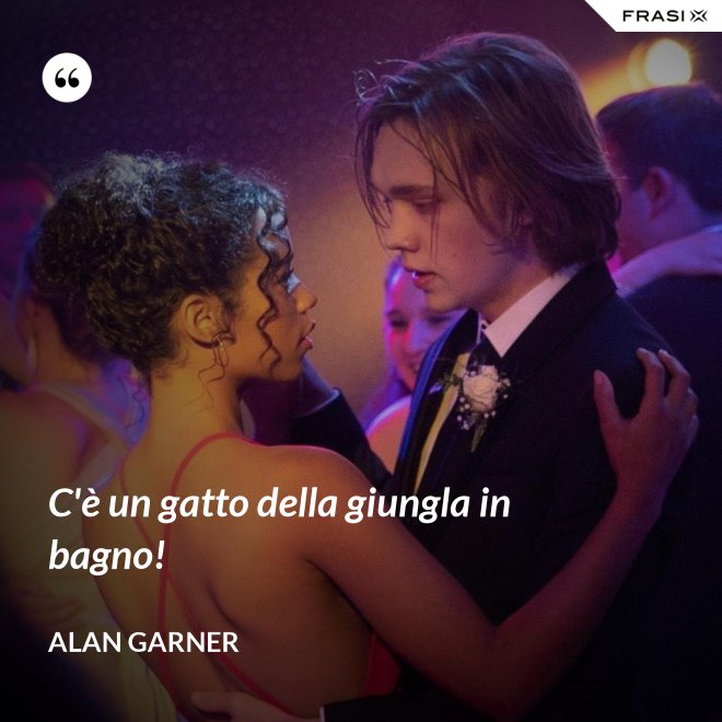 C'è un gatto della giungla in bagno! - Alan Garner
