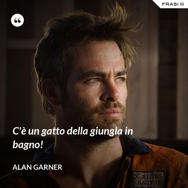 C'è un gatto della giungla in bagno! - Alan Garner