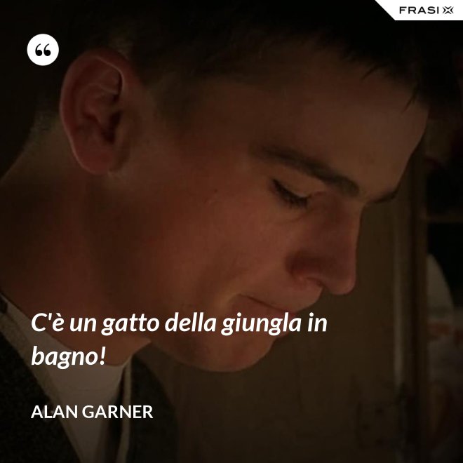 C'è un gatto della giungla in bagno! - Alan Garner