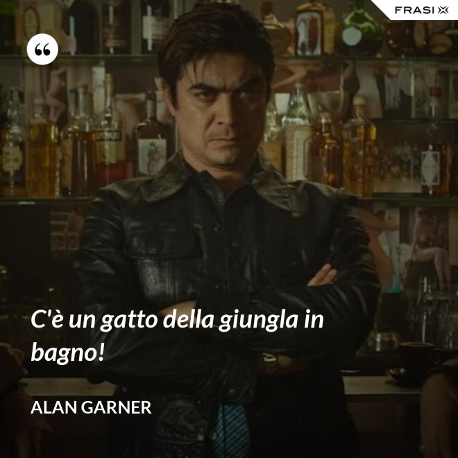 C'è un gatto della giungla in bagno! - Alan Garner