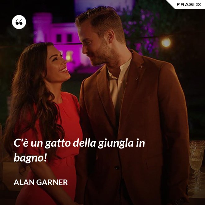 C'è un gatto della giungla in bagno! - Alan Garner