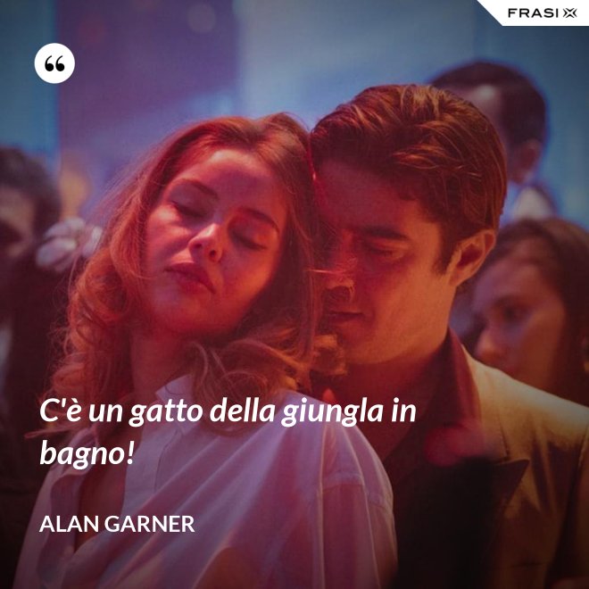 C'è un gatto della giungla in bagno! - Alan Garner