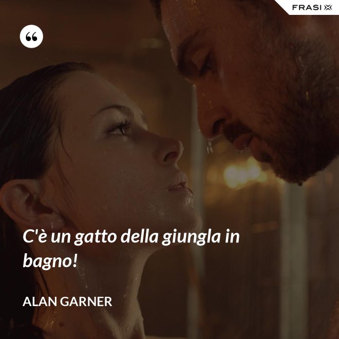 C'è un gatto della giungla in bagno! - Alan Garner