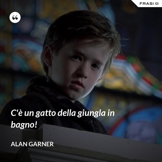 C'è un gatto della giungla in bagno! - Alan Garner