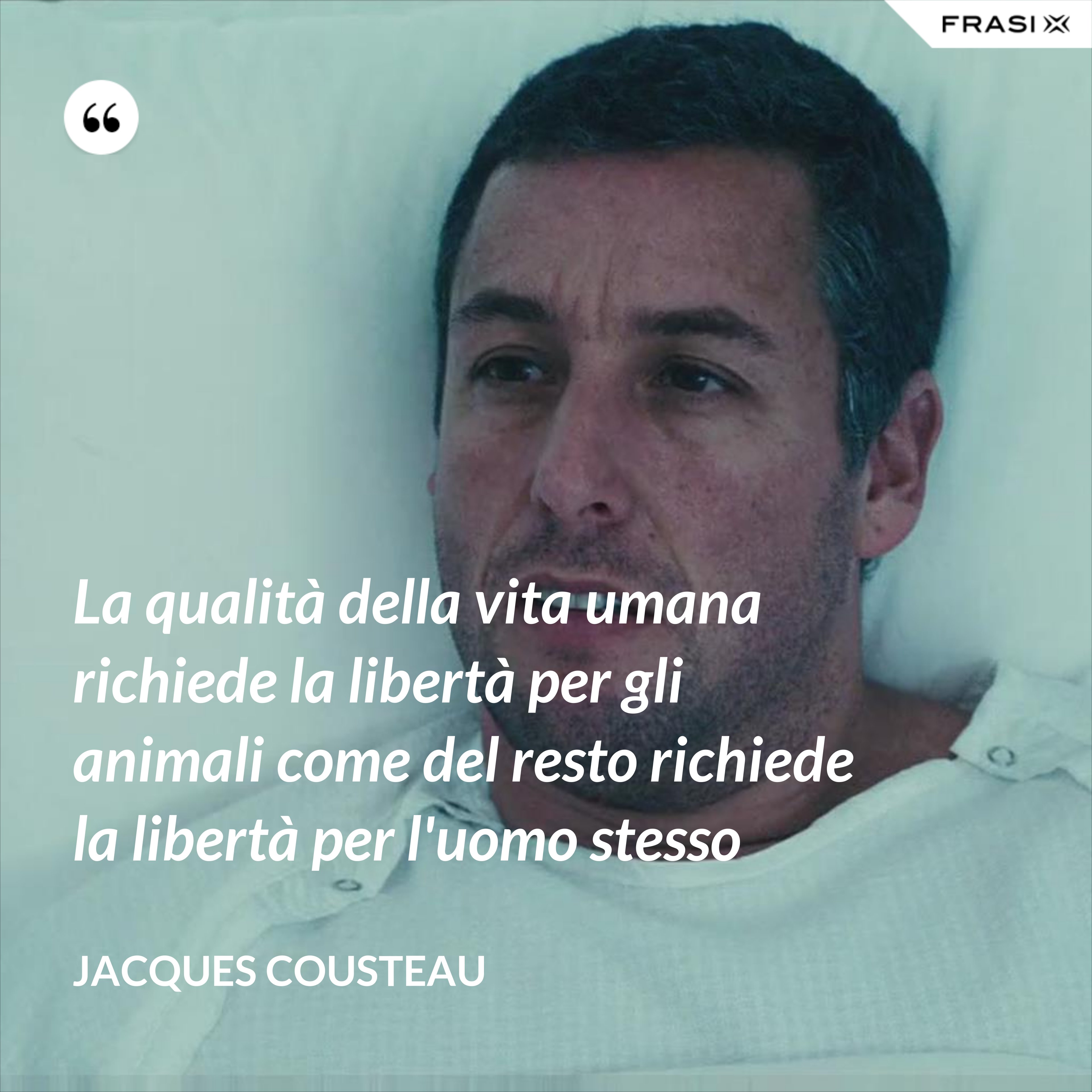 La qualità della vita umana richiede la libertà per gli animali come del resto richiede la libertà per l'uomo stesso - Jacques Cousteau