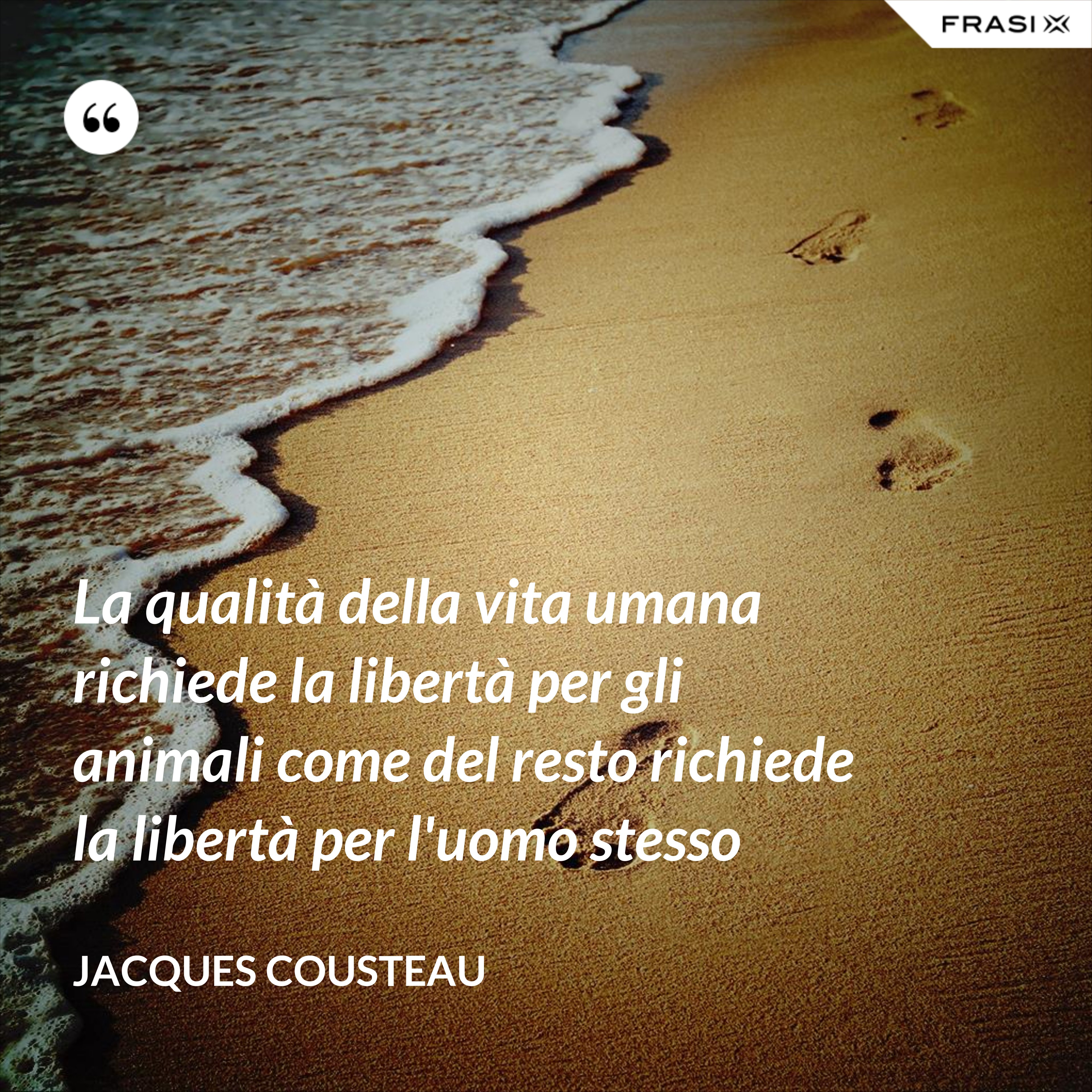 La qualità della vita umana richiede la libertà per gli animali come del resto richiede la libertà per l'uomo stesso - Jacques Cousteau