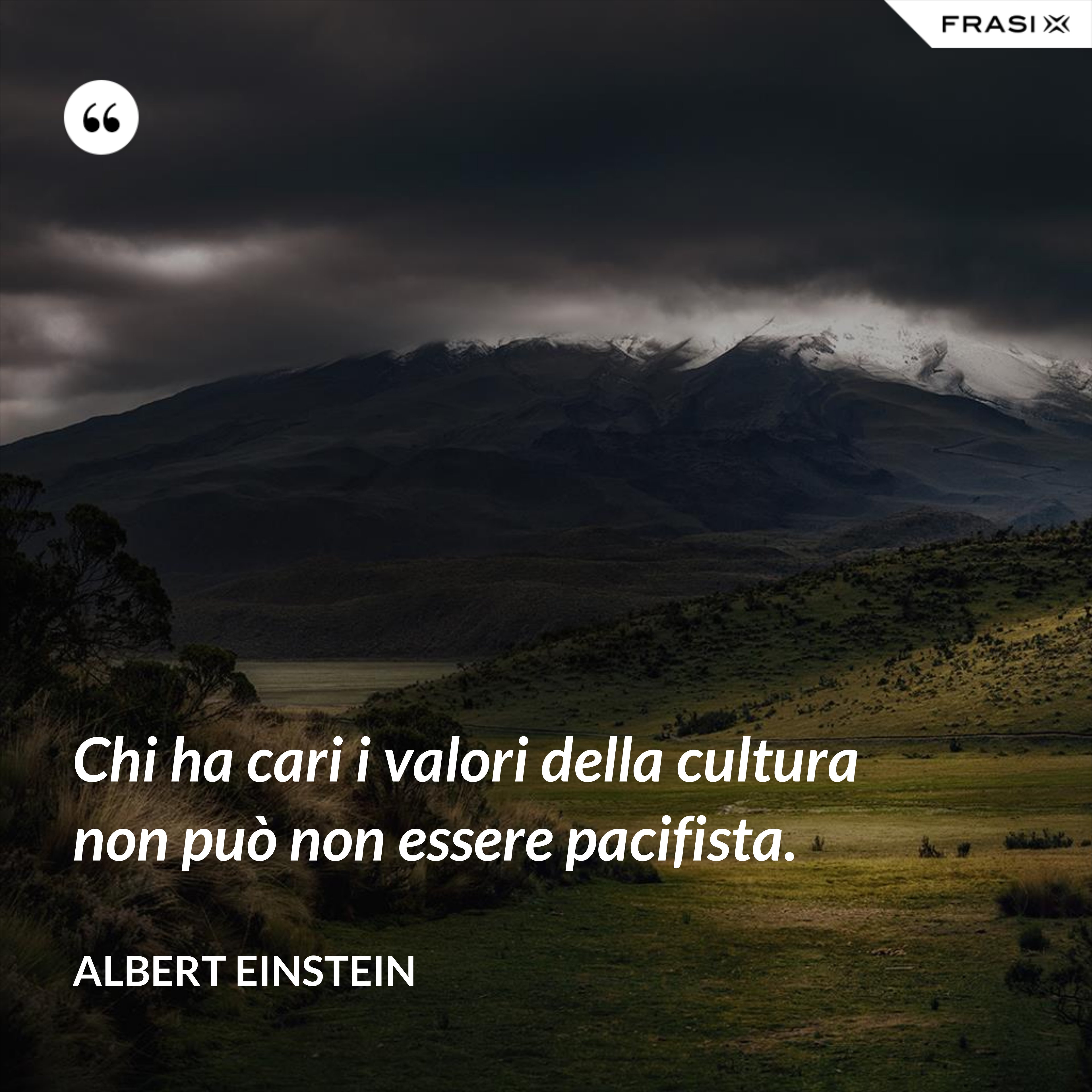 Chi ha cari i valori della cultura non può non essere pacifista. - Albert Einstein
