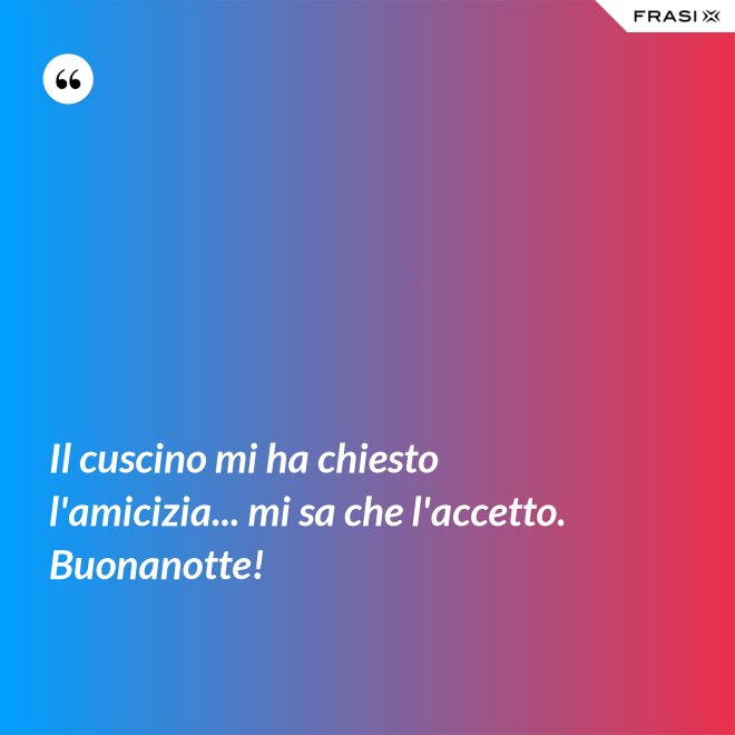 Il cuscino mi ha chiesto l'amicizia... mi sa che l'accetto. Buonanotte! - Anonimo
