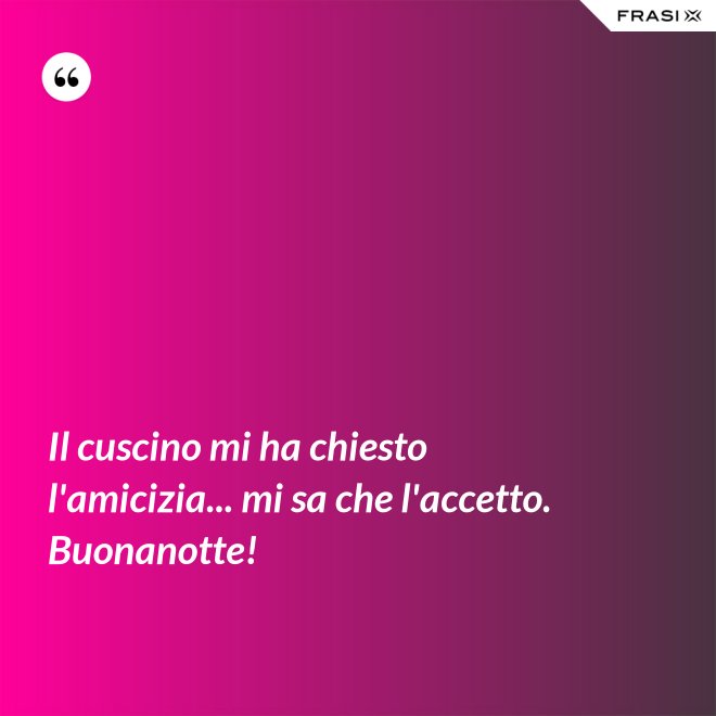 Il cuscino mi ha chiesto l'amicizia... mi sa che l'accetto. Buonanotte! - Anonimo