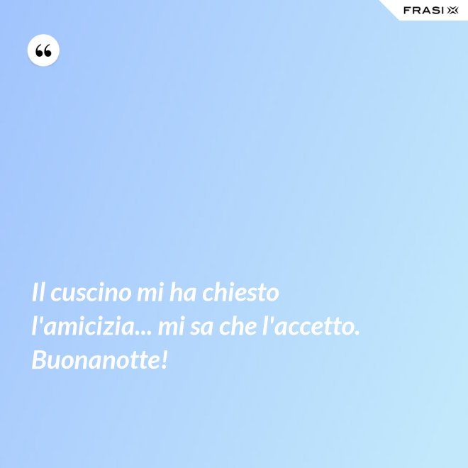 Il cuscino mi ha chiesto l'amicizia... mi sa che l'accetto. Buonanotte! - Anonimo