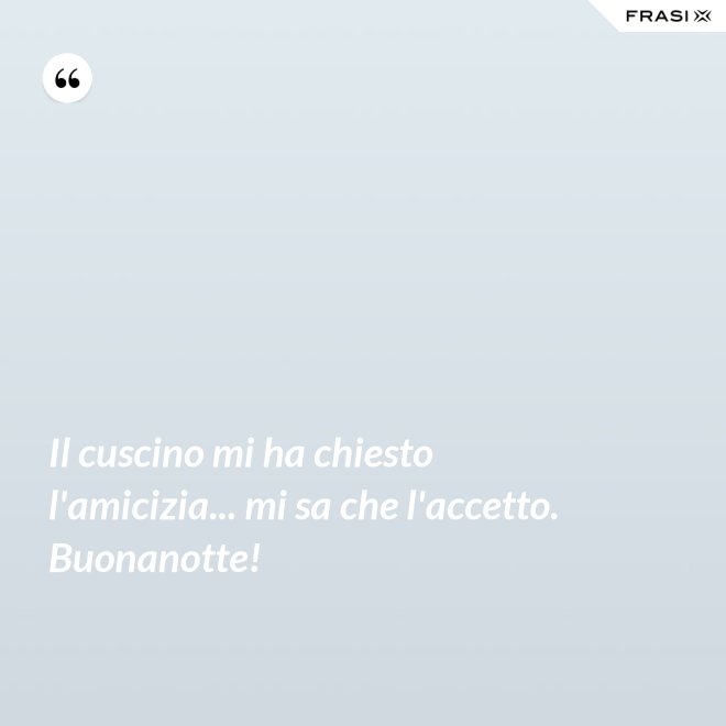 Il cuscino mi ha chiesto l'amicizia... mi sa che l'accetto. Buonanotte! - Anonimo