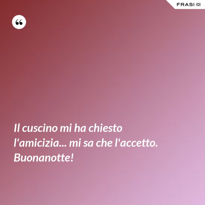 Il cuscino mi ha chiesto l'amicizia... mi sa che l'accetto. Buonanotte! - Anonimo